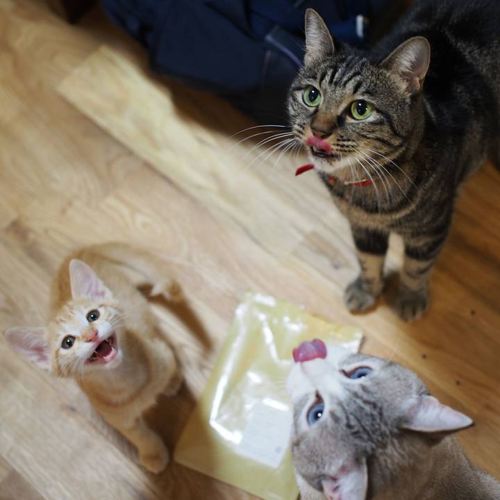 F3706f6e 6c75 49f3 bc87 8ba279ef5c87 1572087931130