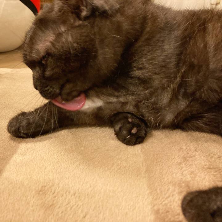 F3708a4a 9d24 4c78 8166 f9ce1559b403 1589305329003