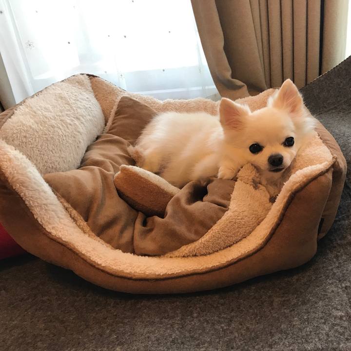 F3708c62 ad55 4eee a585 6a30d62c90dc 1519878001809