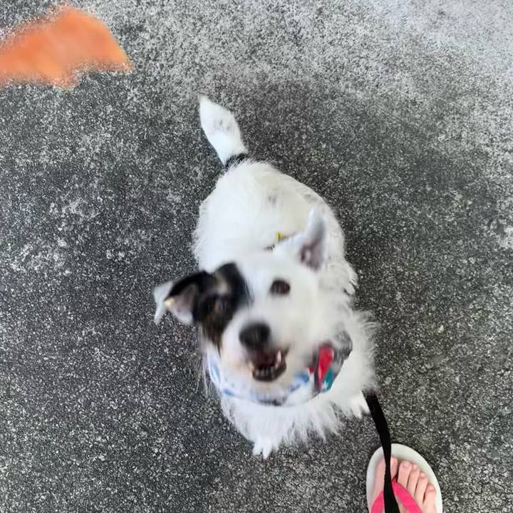 F370c6e7 aaad 498d 96a5 015b6553fb45 1753657236154