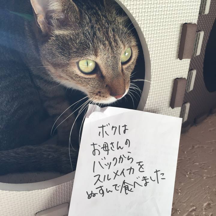 F3715f2e 1b92 45ca a6b5 262baea68d27 1541025700579