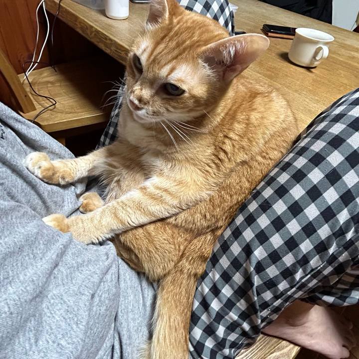 F3716e00 1b14 4541 96e6 b47a5278b813 1678014548663