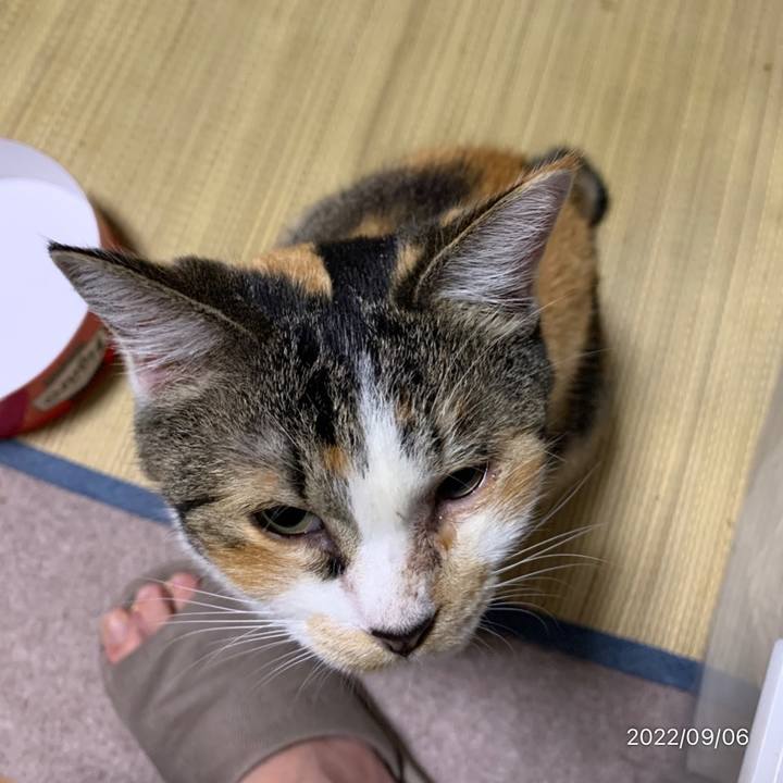 F3718ab8 e94b 4099 bcf2 421fabd77589 1662471974526