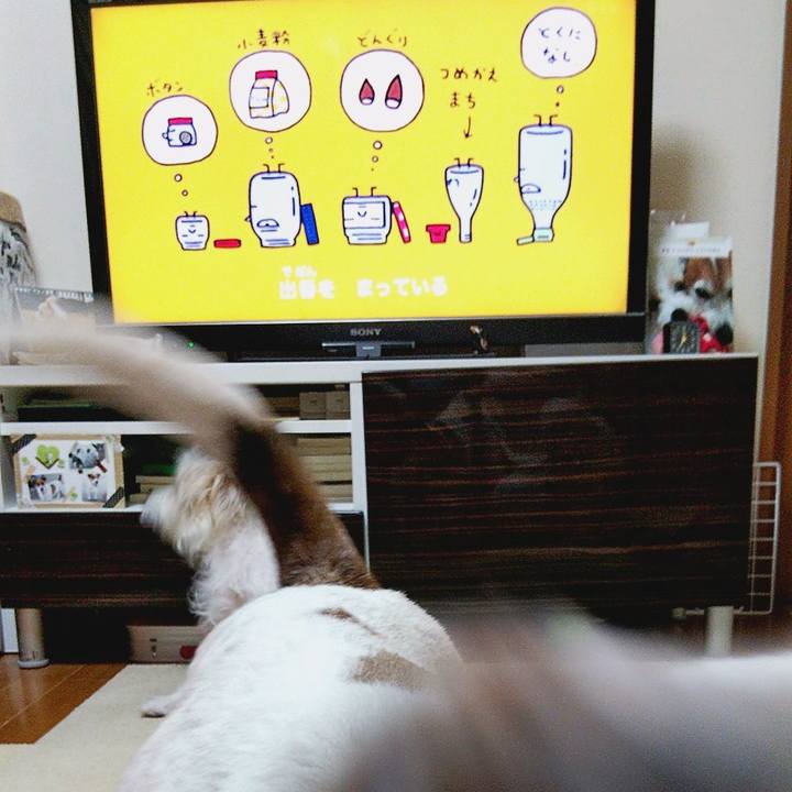 F371c273 c281 4cd6 9637 4ed4c62d25e5 1582583939748