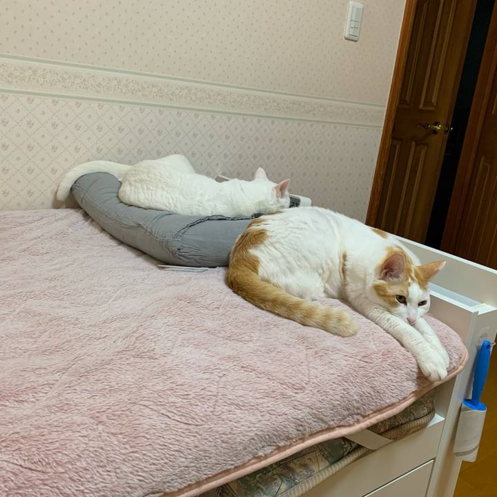 F371d4ce 77b7 419c b22f f9a529e99c76 1639605786523