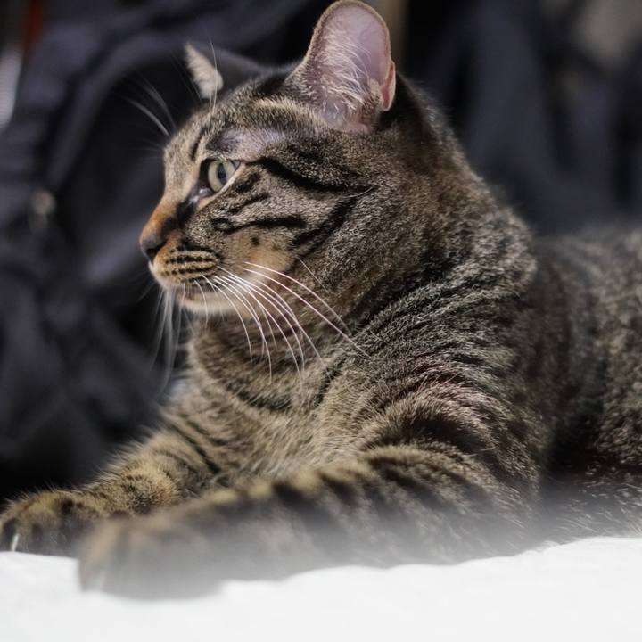 F371d656 fbda 4825 bf22 8870136a79f2 1664546675872