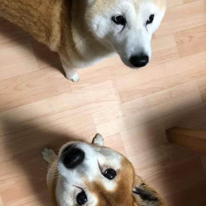 F371e3e4 37b0 4728 86e1 2e88044f4cf1 1554031044157