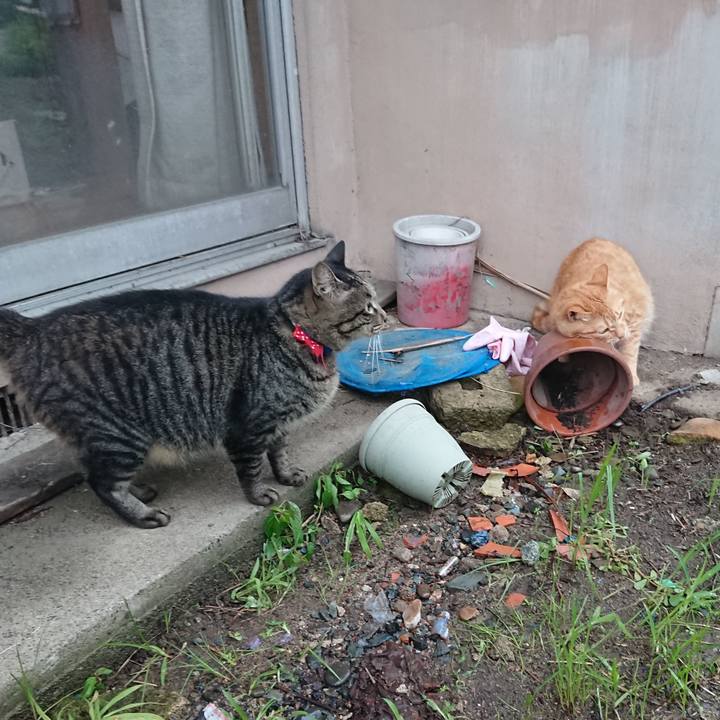 F371f325 2d34 403f b9a2 101a9c973565 1661852813370