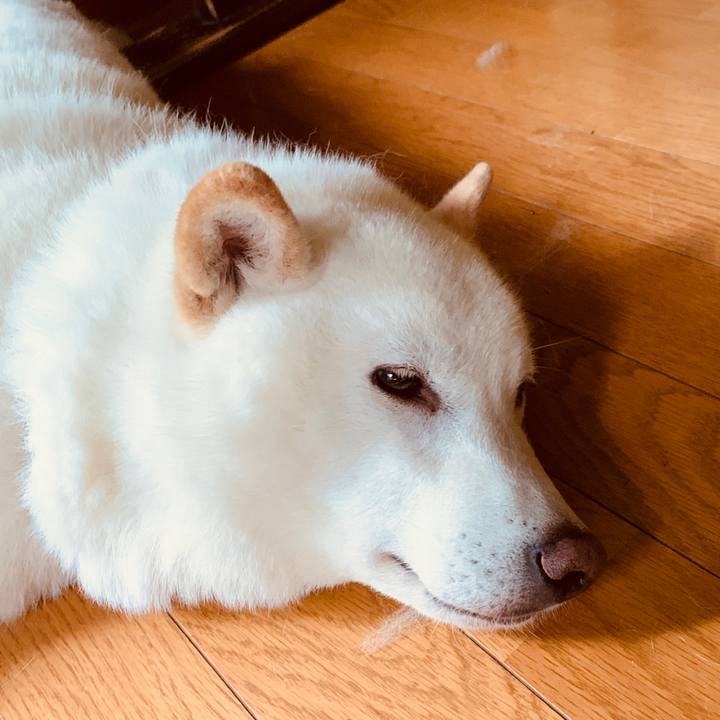 F372014b 9f3d 468a 8f4f d068fcb6bbf6 1592598842819