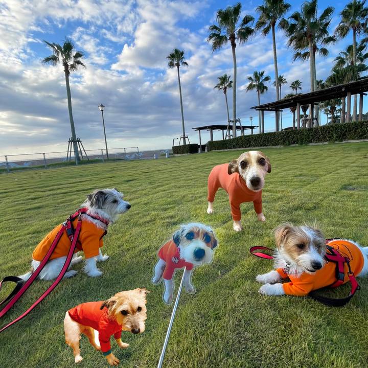 F372089e 97c1 4e08 b28b 87c7a499729e 1759030894216