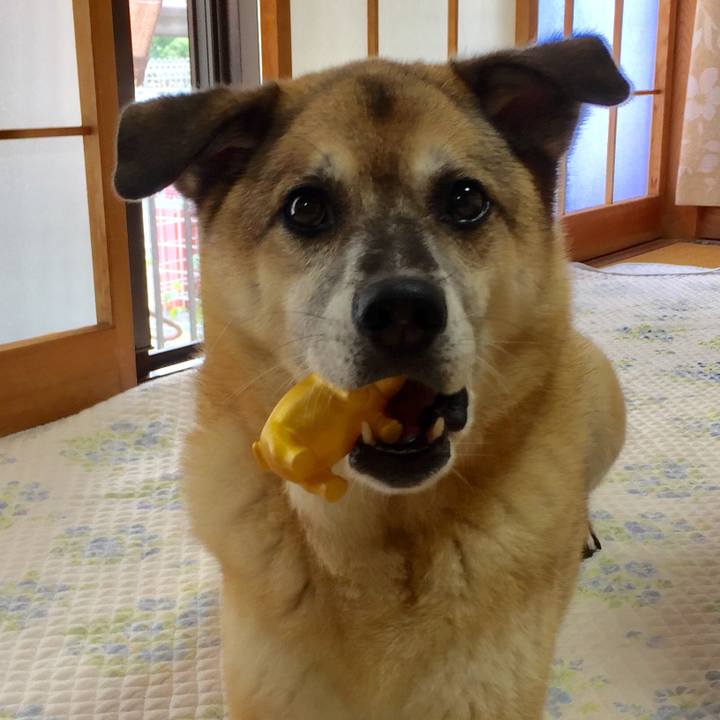 F37217a1 120d 4c55 8609 c06ccc1c3c7f 1597463076919