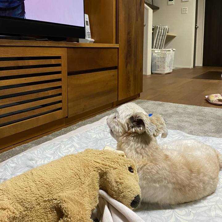 F3724542 d8c7 46a2 8a0c 2d300e0c1913 1655030034234