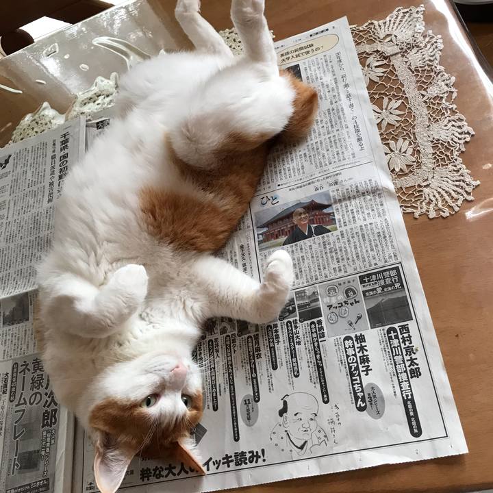 F3725096 fc46 4dc4 a61a ab5b5feda555 1568589901005