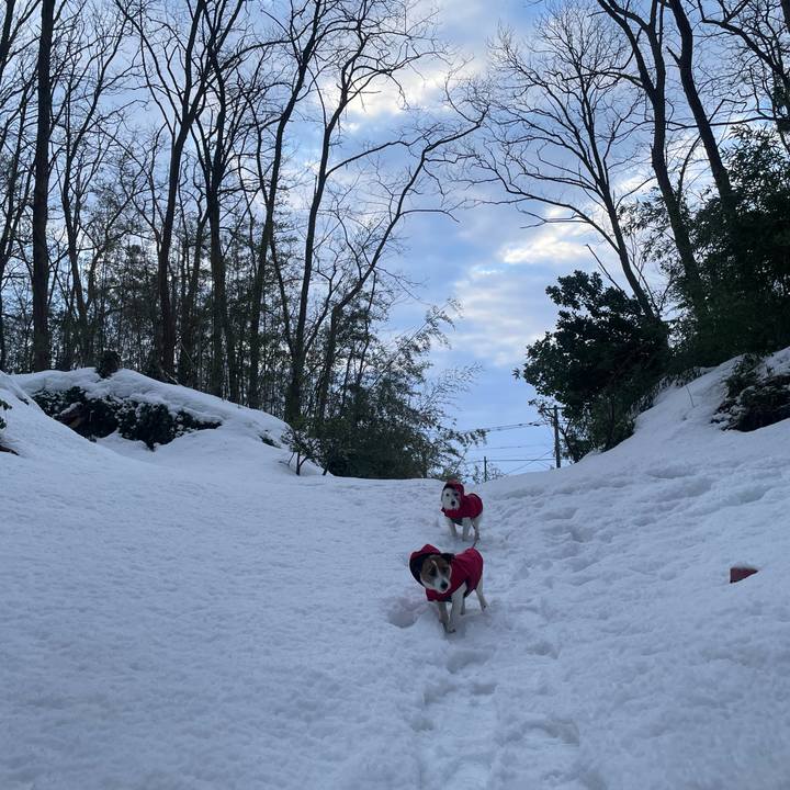 F3727d80 29de 4860 b1e7 cd382acb83dc 1770077073499