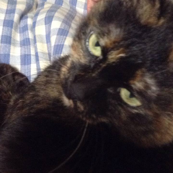 F373418c 3cbf 4ee4 83cb 3b2cb2a4959c 1517746097676