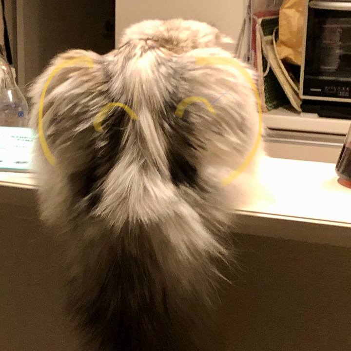 F3736301 f1ad 4748 a2b0 701ad0795149 1610369197032