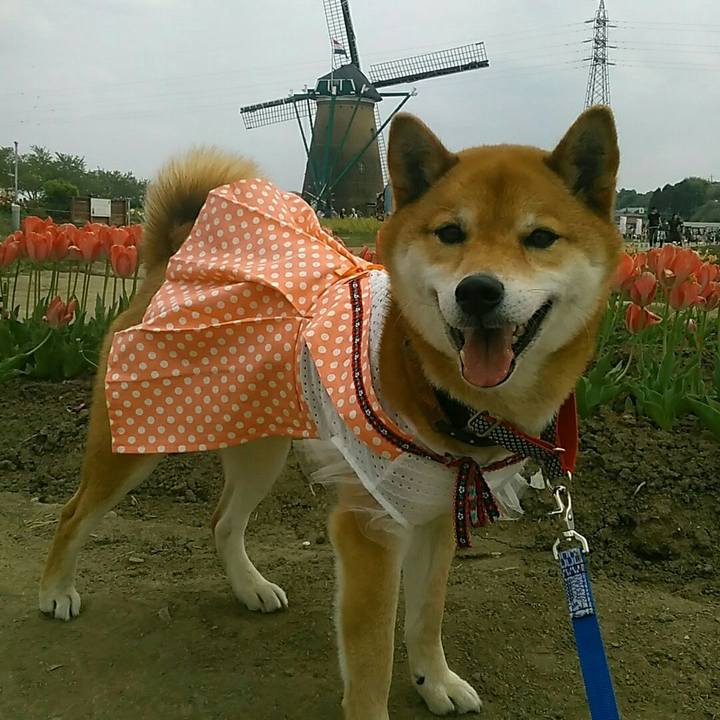 F3736f3a f9b0 4ca2 9a14 3148f8cca9f8 1555839470182