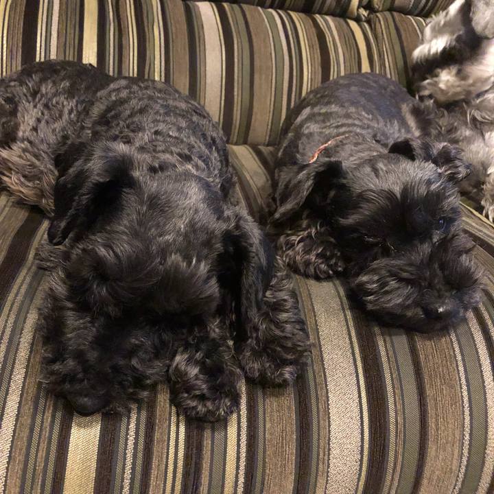 F373ae46 ee9c 4e26 9f27 185995cd95d7 1558965157246