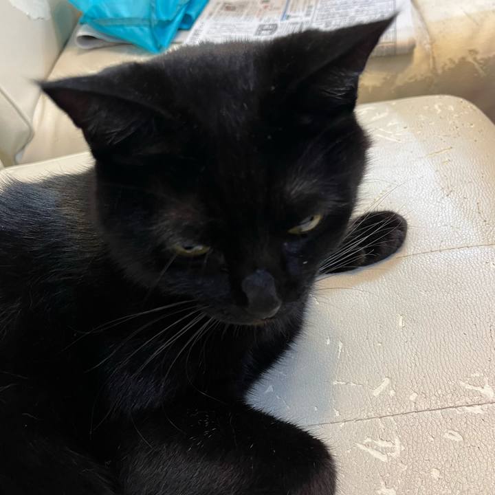 F373e008 f932 4c5b 89c8 e3384ab37a76 1665397893005