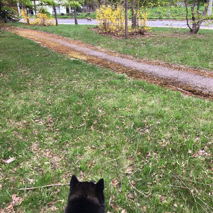 F373ff47 f591 43b9 8ed7 c21ee1cbfe2d 1526165243414