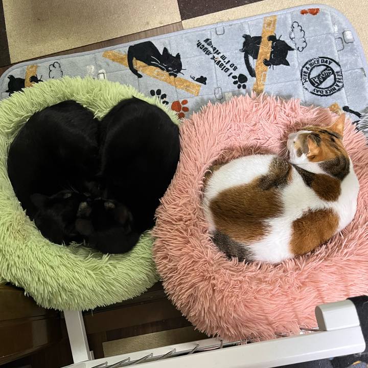 F3744c8b 8daf 463c a554 7f6bfd707e58 1763749255565