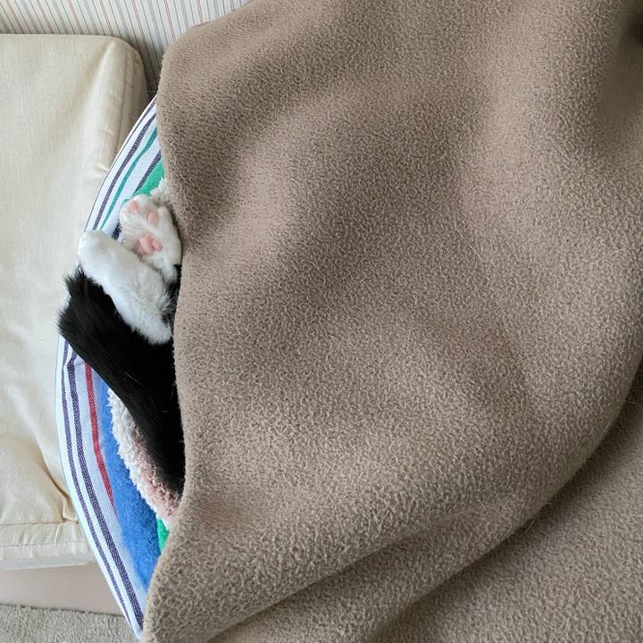 F374505f 8818 46e6 b2fd 56e67314abdf 1773012327974