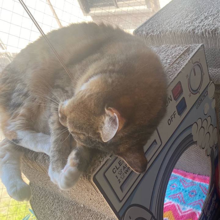 F3746764 afd0 451c bee3 805dd4986b40 1717808702531