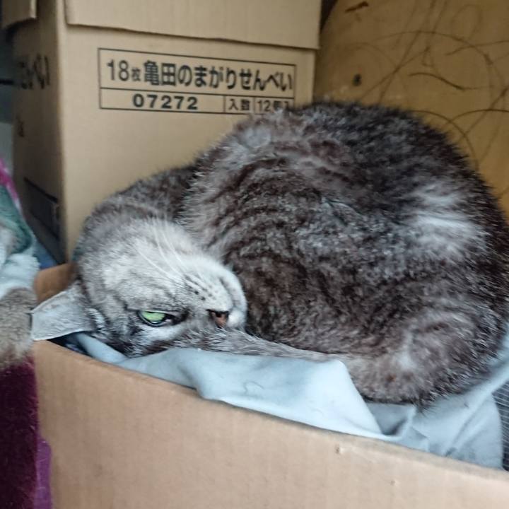 F37484a6 22a2 4efb 9d81 94635fd534c5 1570830473051