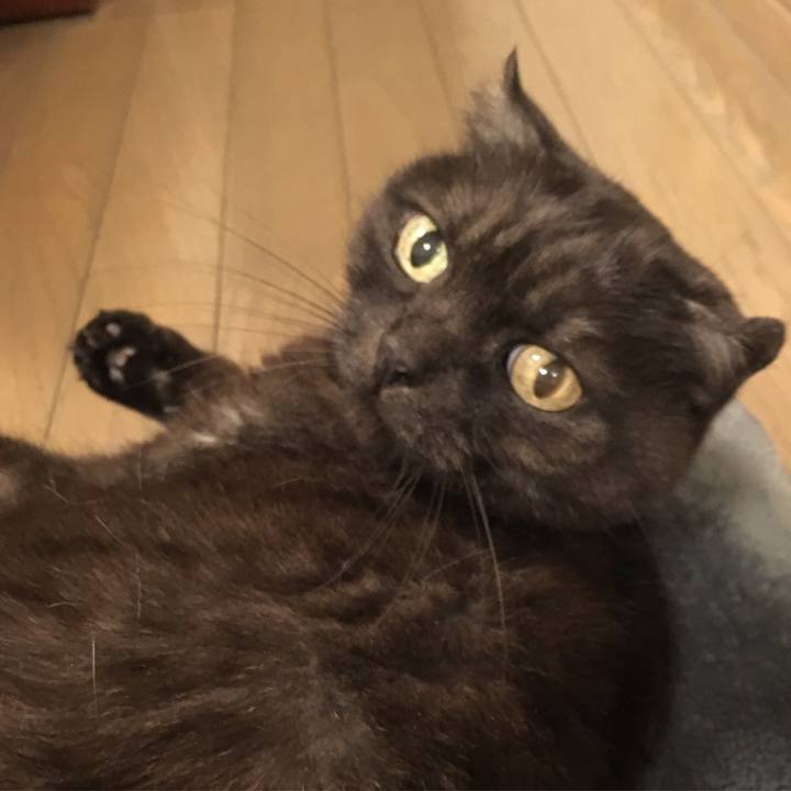 F37484d3 1190 4a7b 9e5e 36b33b87ac59 1553872665926