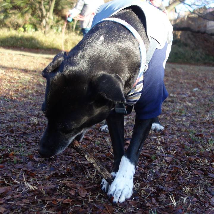 F3748ae8 1b3c 4b4d 9830 4e004f966a95 1705884461802