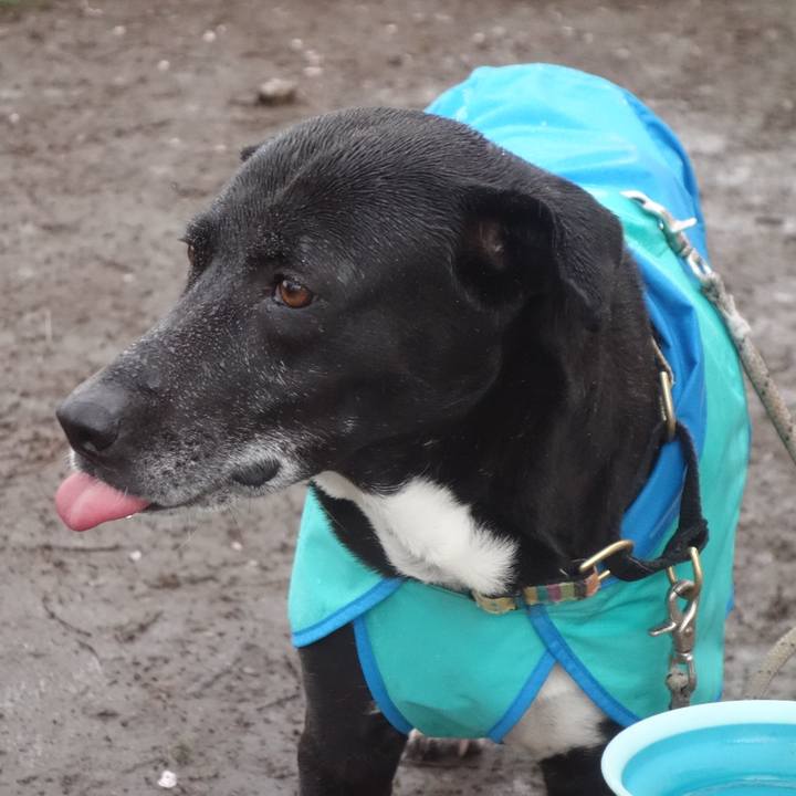 F374a61c 51d7 496f 9cad 8660a0647fd6 1679790755045