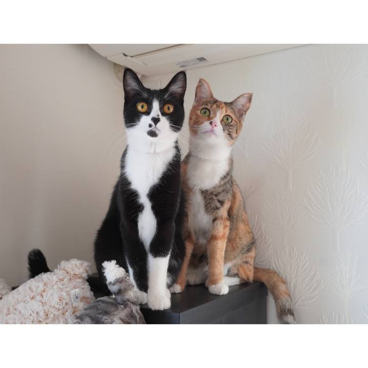 F374ae42 335f 45c5 ac80 a6e65c6826a9 1602044903755