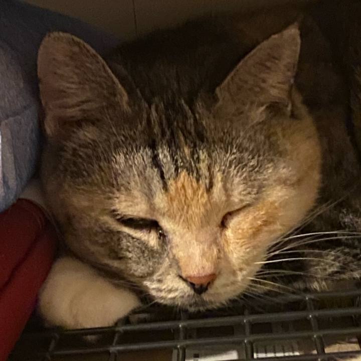 F374bda9 526f 4d86 90e0 b6f85dd38185 1627474776927