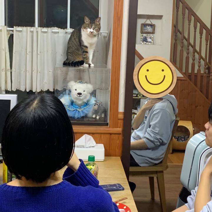 F374d24d e62e 4714 8c28 3031039bf8e7 1636116444261