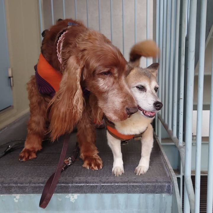 F37510fc 4d5d 4592 8b2f d4271efc617f 1712381733203