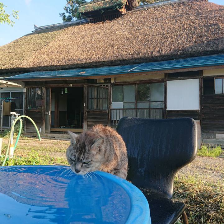 F3752059 c06b 45b8 a3ef 66d9a75e6d8e 1598303191995