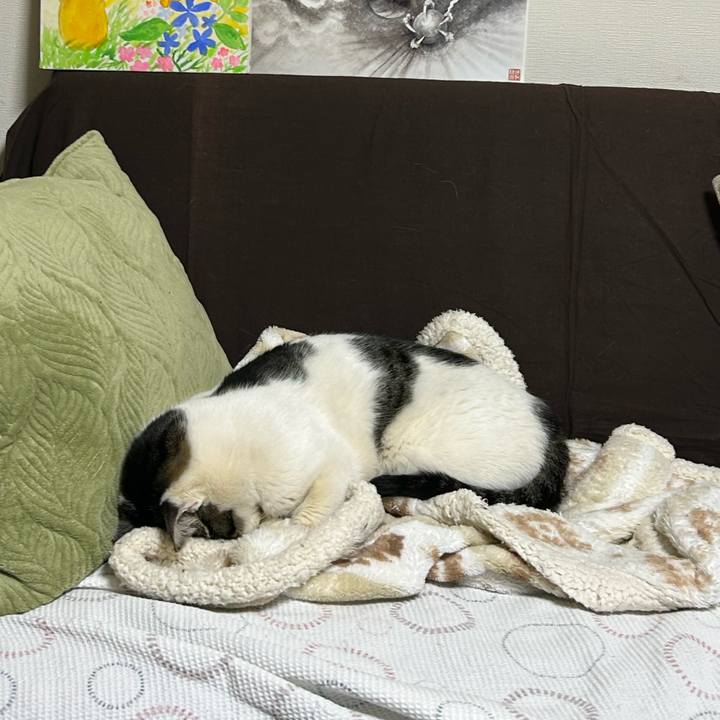 F3754276 5c89 447f 9f47 a32fe4460bf5 1738137182019