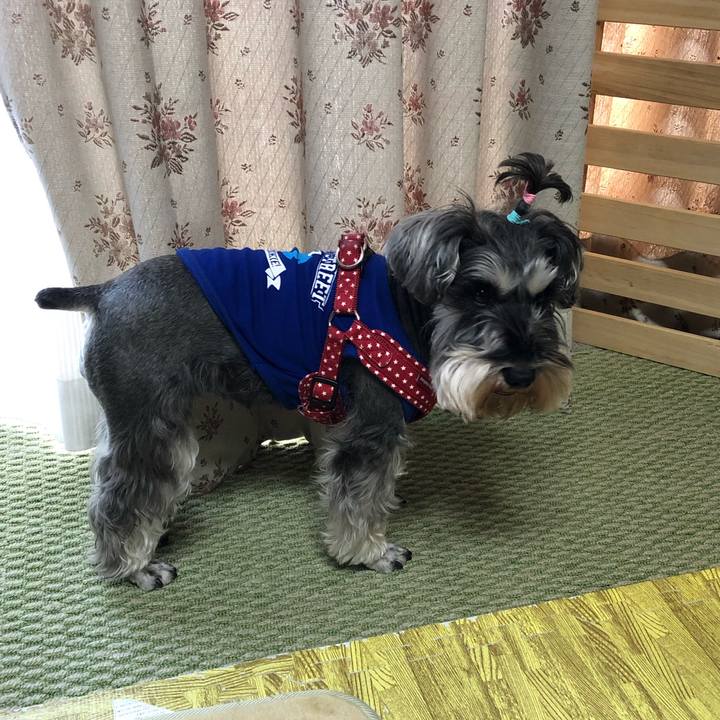 F3757c5c 9ad0 4e00 9977 f861c62258f8 1550977676752