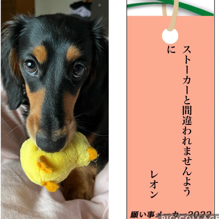 F375d33a d00d 409b 9ab7 8fd6b30aed6e 1657273738079