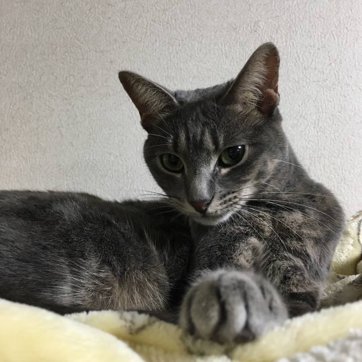 F375f8f6 4140 45f3 866e 2205e5639bda 1540376384696