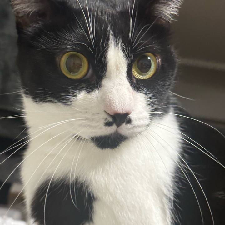 F37605b3 536b 4b70 b2c1 672cbd2728bd 1762917120683