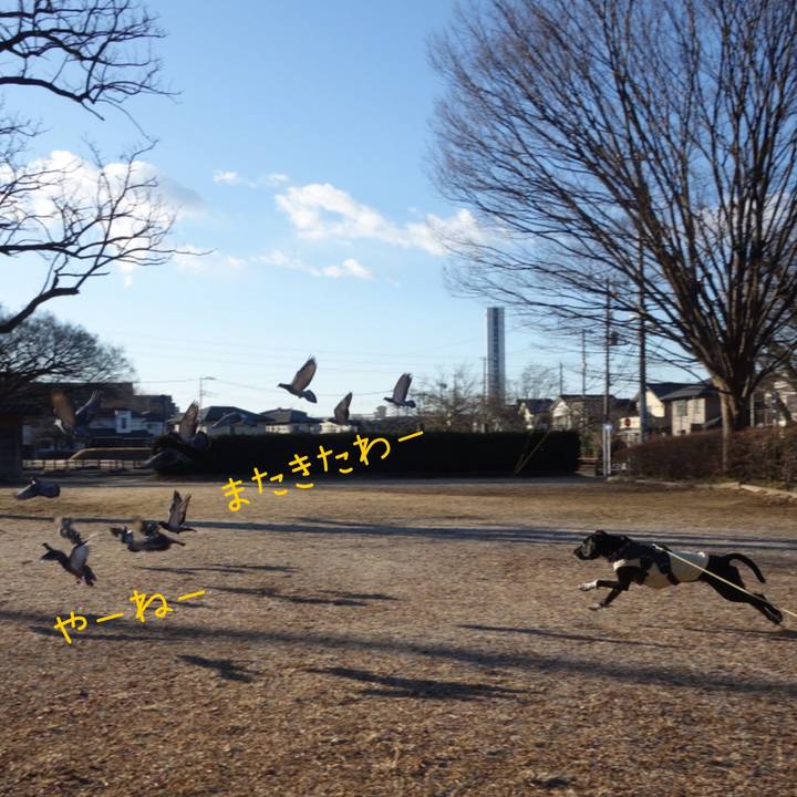 F3760605 7ad5 4757 8eef 3720e8935f43 1644023483195