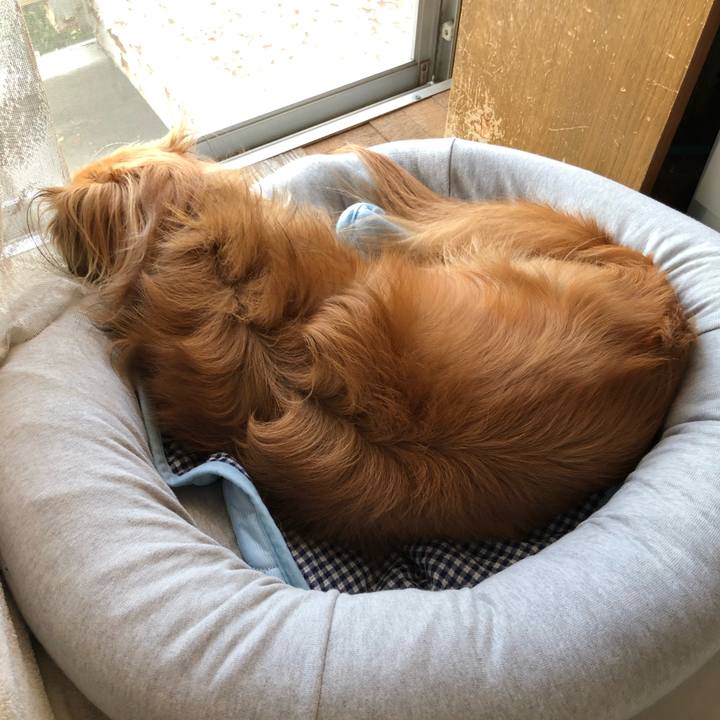 F3760a2d 81ca 499a 9b7a a048ca17dab3 1565136143168