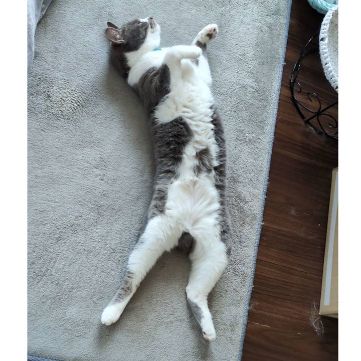 F3764b58 6e43 420f a6b9 9641632d9e70 1742965562399