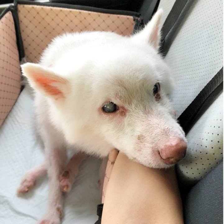 F376505c 1178 489d 9862 921cfa5d7c45 1659249030381