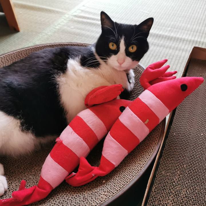 F37662af 2429 455e a37c 7737e8fac210 1653364156444