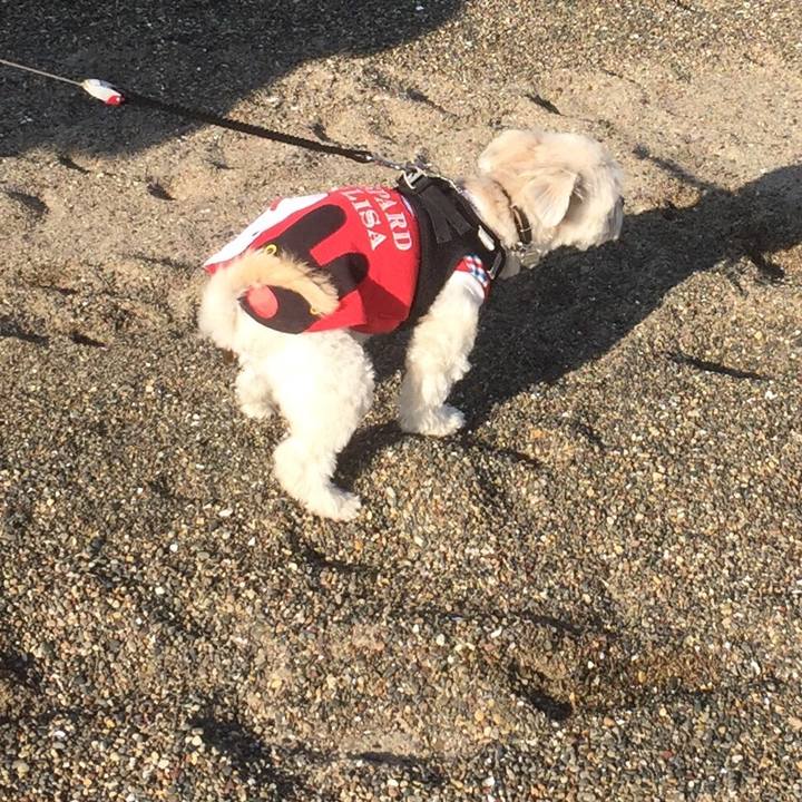 F376a80f 2ecd 4d00 ab8b e81bc3638ce2 1512285034487