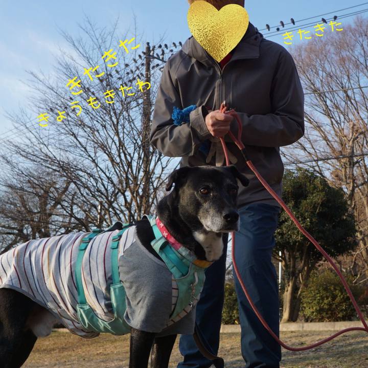 F376b6bd f443 4ee8 b359 7e979d62259f 1770337027458