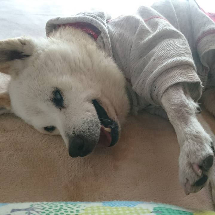 F376d3c2 5c88 4793 a053 eafda461ff59 1524286623984