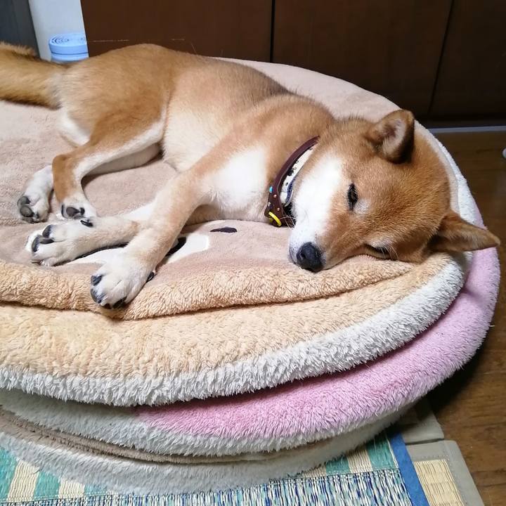 F376d3c2 adbe 473c ba4a 2f074b6a1a0b 1595333398061